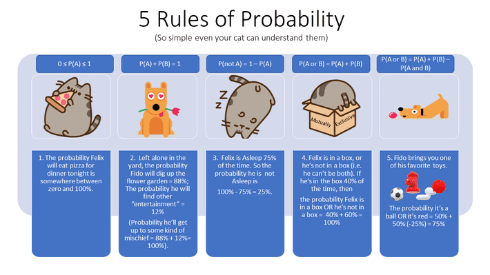 5 Rules Of Probability In One Picture Cat And Dog Edition 