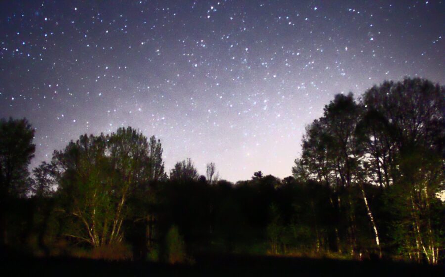 Night_Sky_Stars_Trees_01