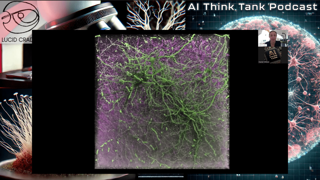 Neural networks inside of a brain.