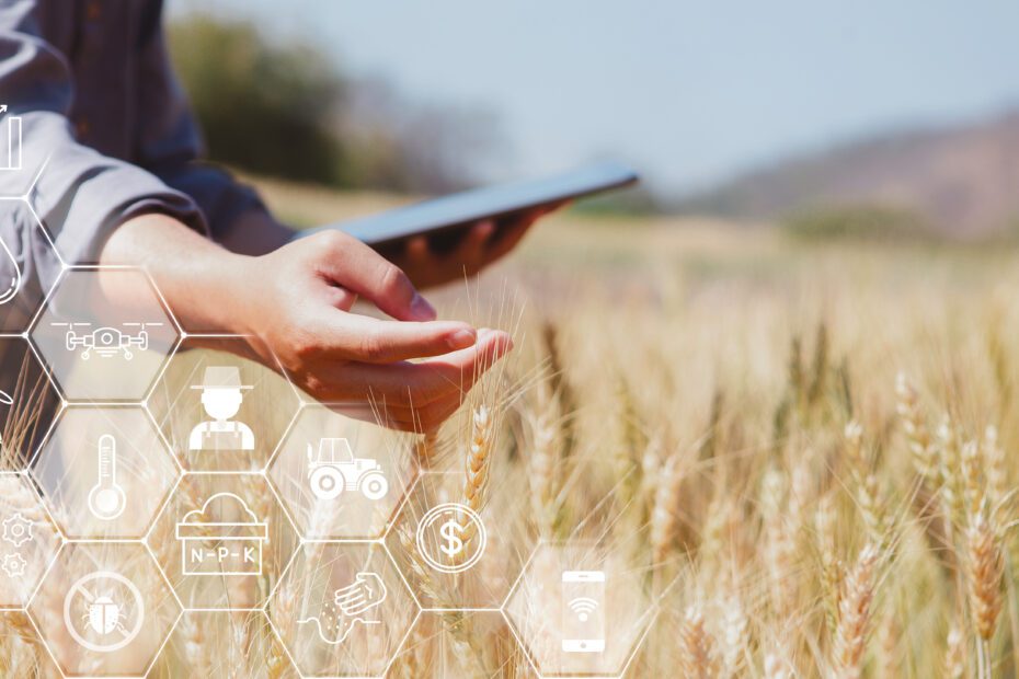 Farmer inspects barley and uses agricultural technology to analyze data via tablet Concept of smart agriculture and modern technology, pictogram icon